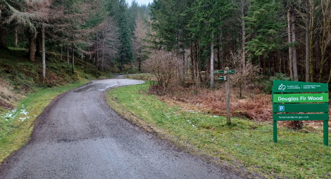 Gravel drive leading into a forest of large green trees with signpost in the foreground