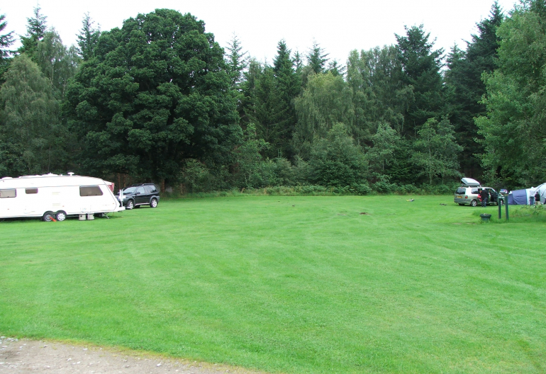 Green grassy field with gravel road through it and trees beyond, with a parked caravan