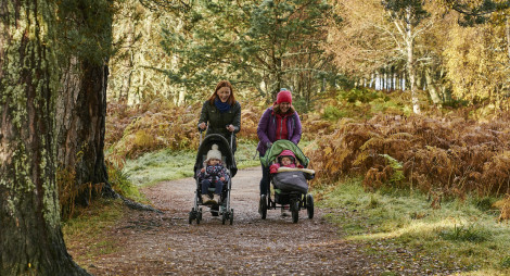  Two young women walking together pushing toddlers in buggies, look out at pond, on Loch Morlich trail, Glenmore Forest Park, near Aviemore