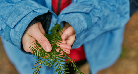 Child holding fir tree twig