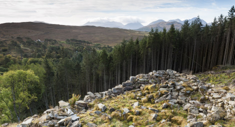 Forested slope with large mountains beyond at Inverarish