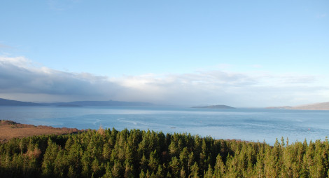 Forest with sea beyond in sunlight at Kyleakin
