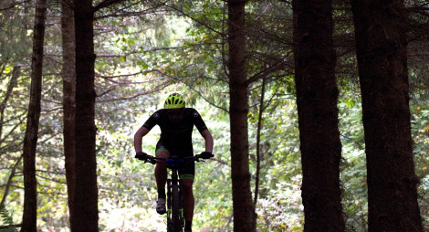 Mountain biker in dark woods