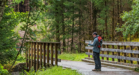 Male walker on bridge looks at map, Leanachan Forest, near Fort William