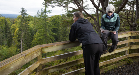 A man looks over tall trees from a viewpoint while a woman reads a leaflet