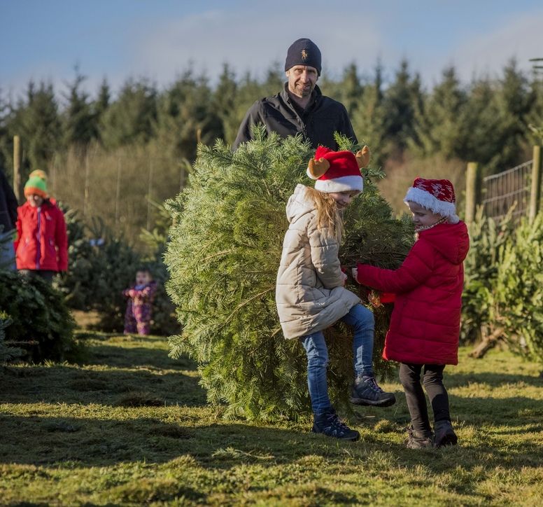 Two kids and their dad carrying a christmas tree