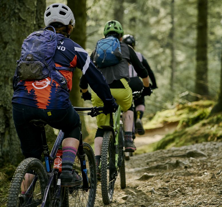 Three people cycling through forest