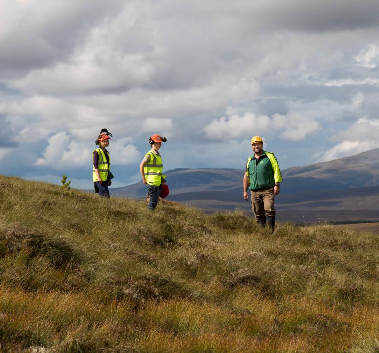 Three workers on a peatland site