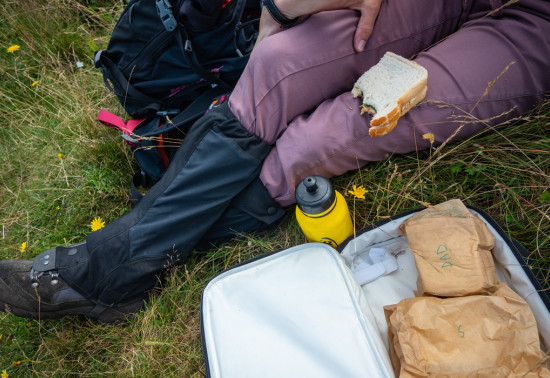 A person sits on grass with a sandwich and packed lunch