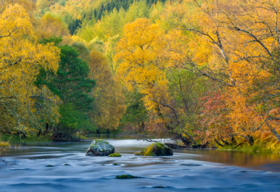 Yellow, orange and green-leaved trees overhanging a river