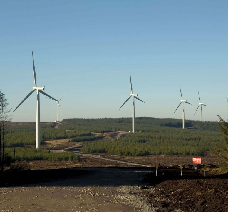 Wind turbines near some trees on a sunny day