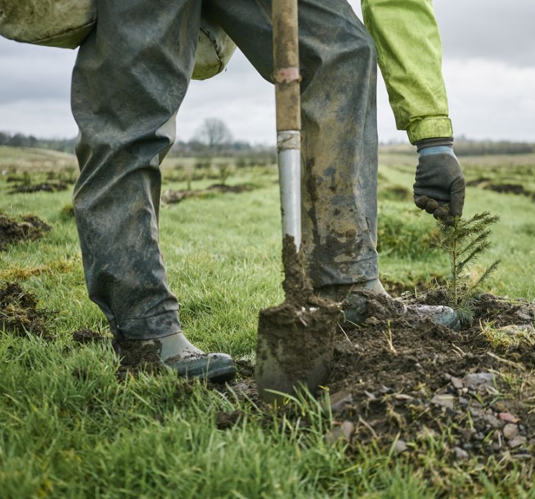 Man with welly boots planting a tree sapling in grassy ground
