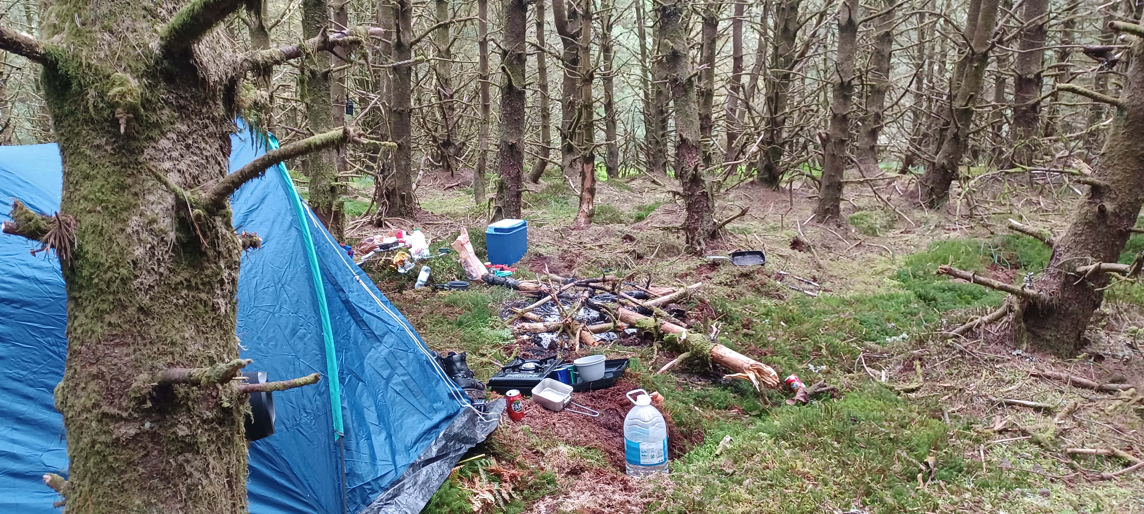 a trashed campsite in a forest
