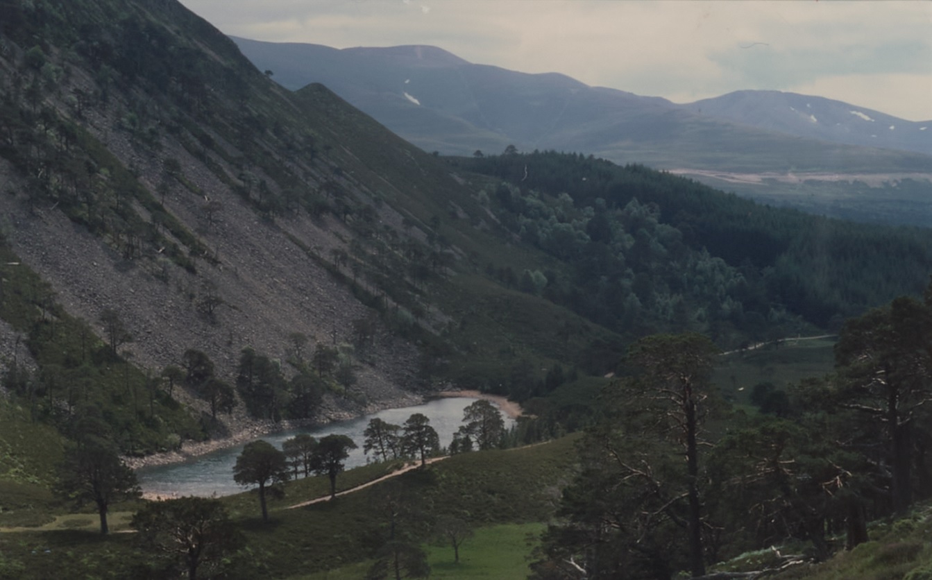 a show over a treed hillside from 1984 and the lochan in the background