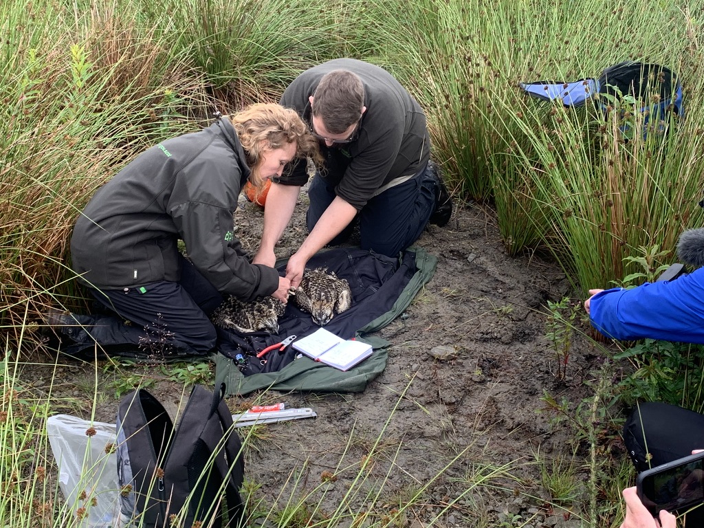 staff members tagging a rapter
