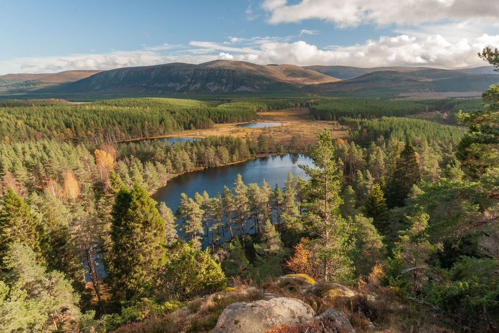 View over a loch with a forest and hills