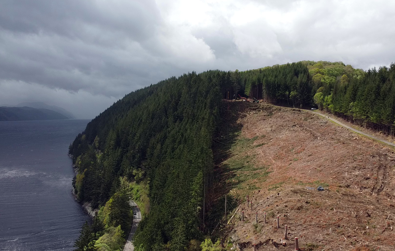 FLS is starting the latest phase of its steep ground felling work along the A82
