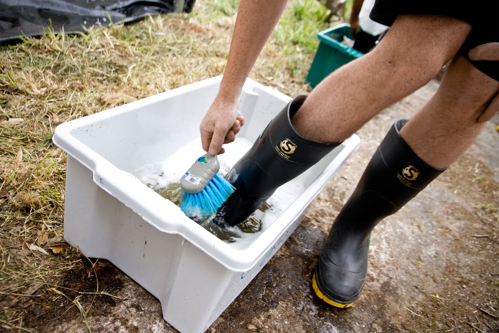 A person scrubbing their boots after a forest walk