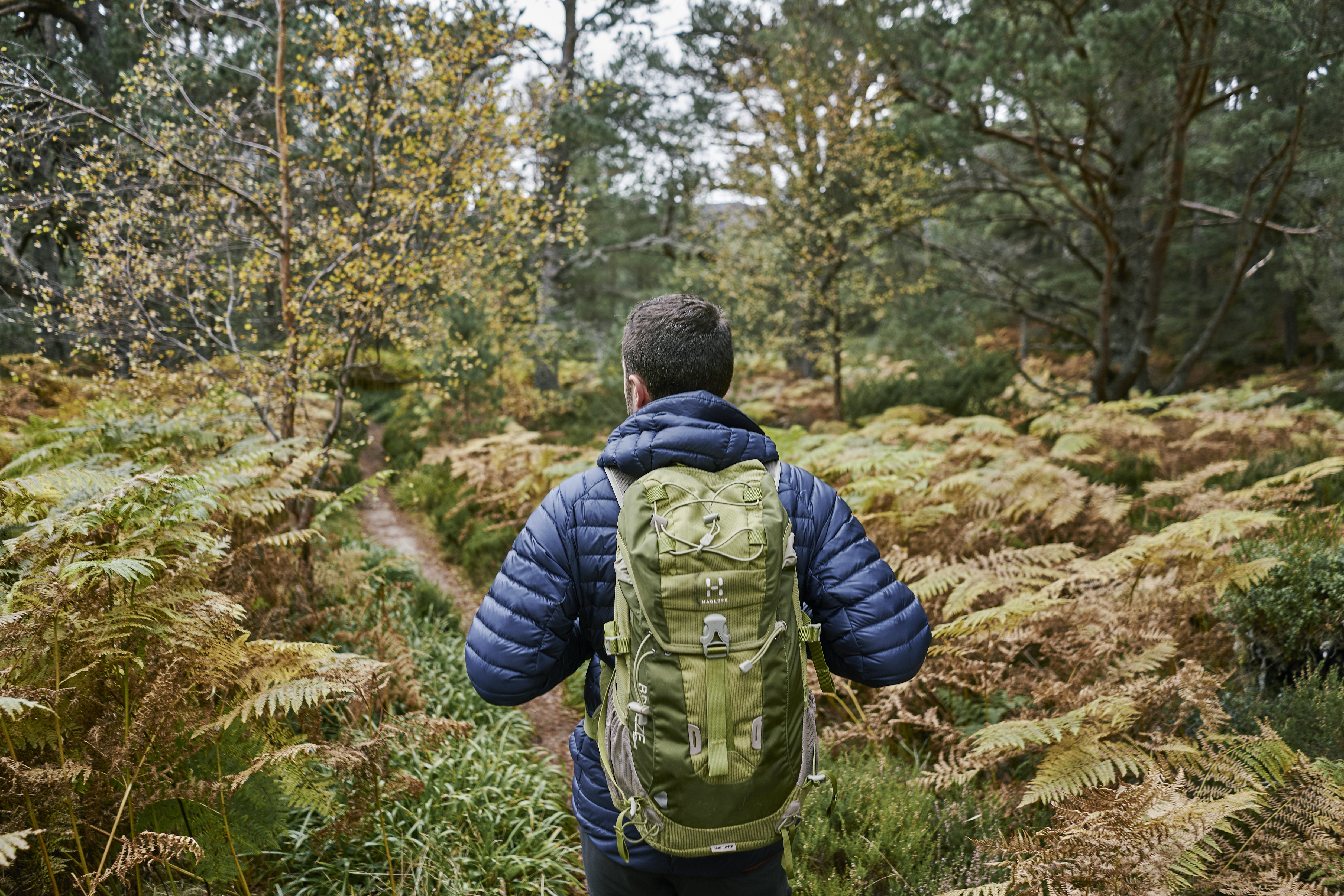 Man with rucksack on a forest trail