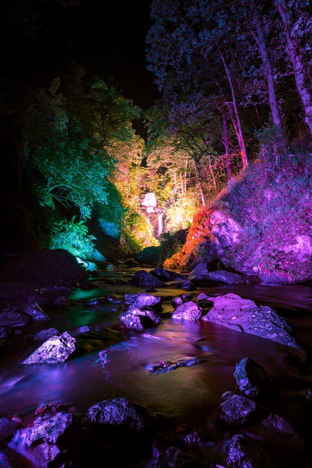 Forest and rocky stream at night, lit by lights placed all around in colours of yellow, purple and green