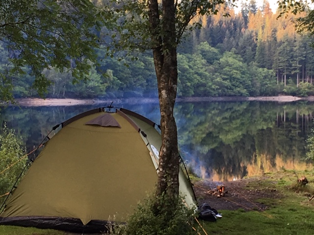 Small green tent pitched next to slender tree in front of loch with forest all around