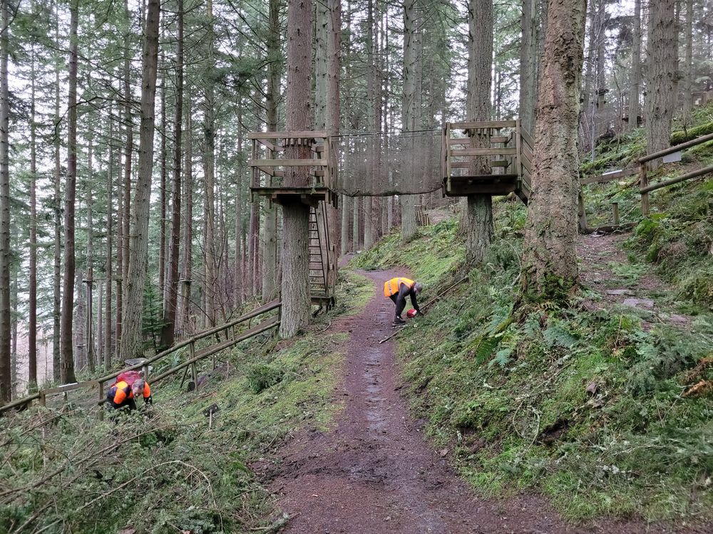 Two people in hi-vis jacket removing debris from an off-road trail