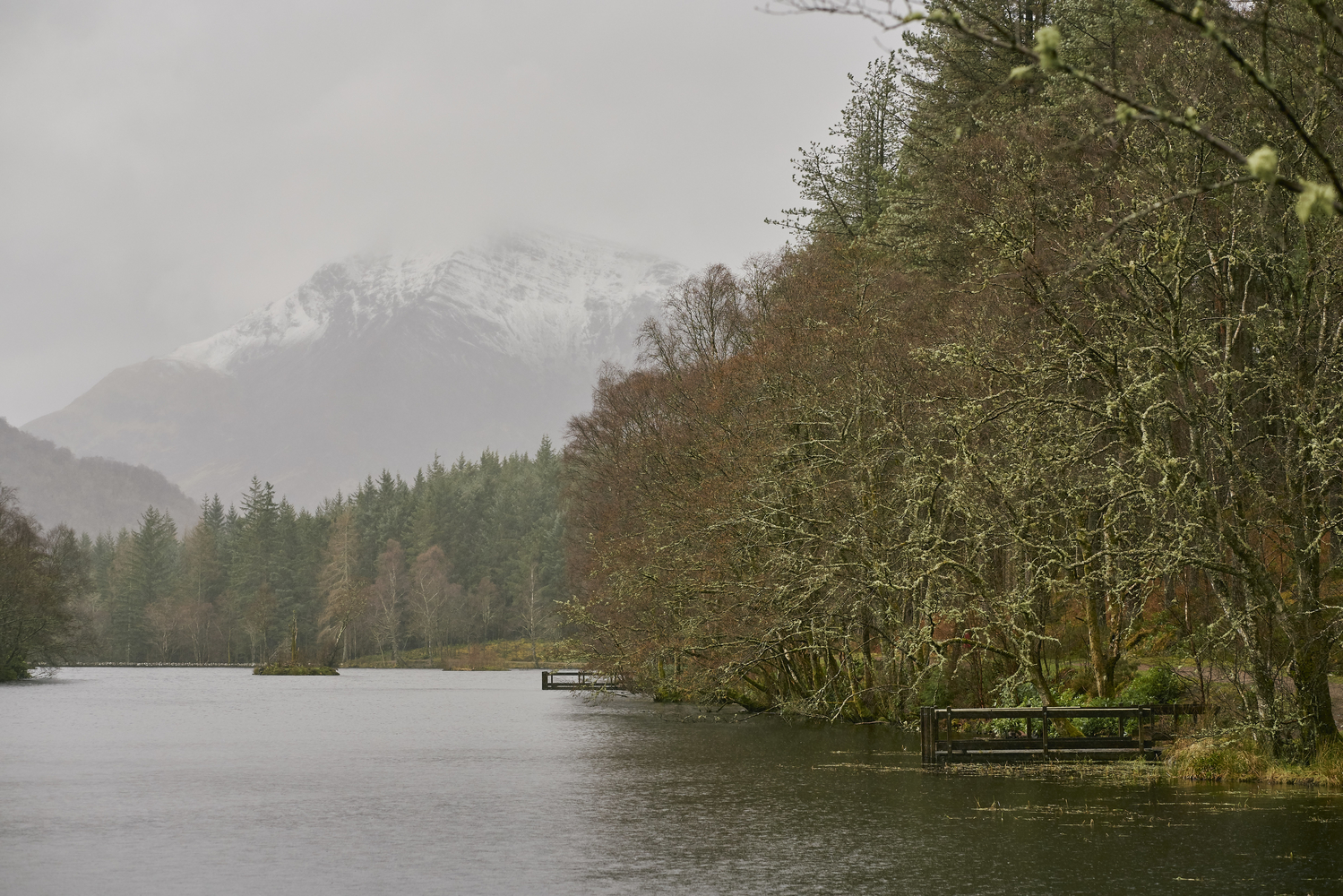 Glencoe Lochan in the rain flanked by forest of conifers and other trees with mist covered snow capped Pap of Glencoe in background