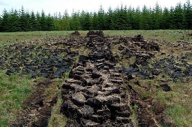 A line of churned up earth showing where peat has been harvested in a green field