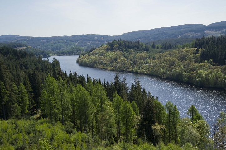 High up view over a loch surrounded by green coniferous trees under a blue sky