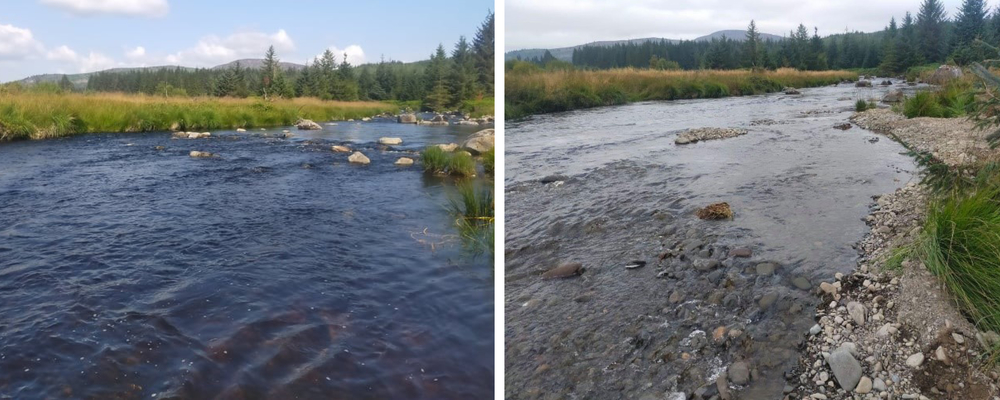 before and after image of riparian restoration