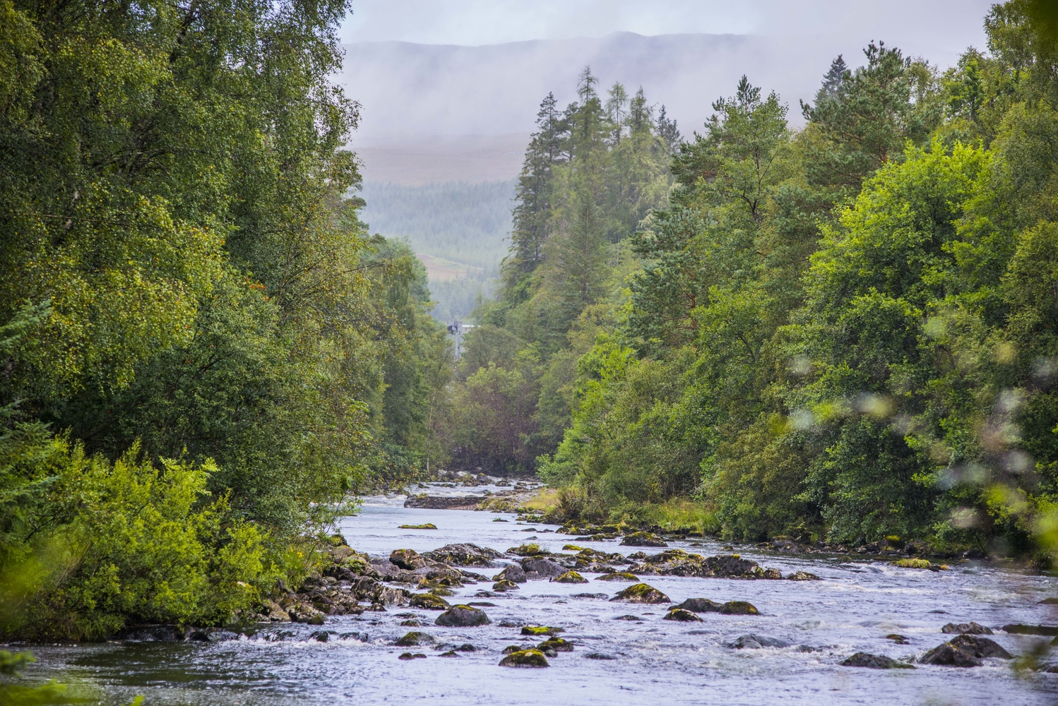 View along the River Garry, flanked by trees and greenery, Glengarry, near Invergarry