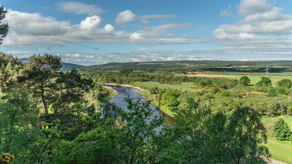 Viewpoint over a large river with a mixed forest in the foreground and fields and hills beyond the river