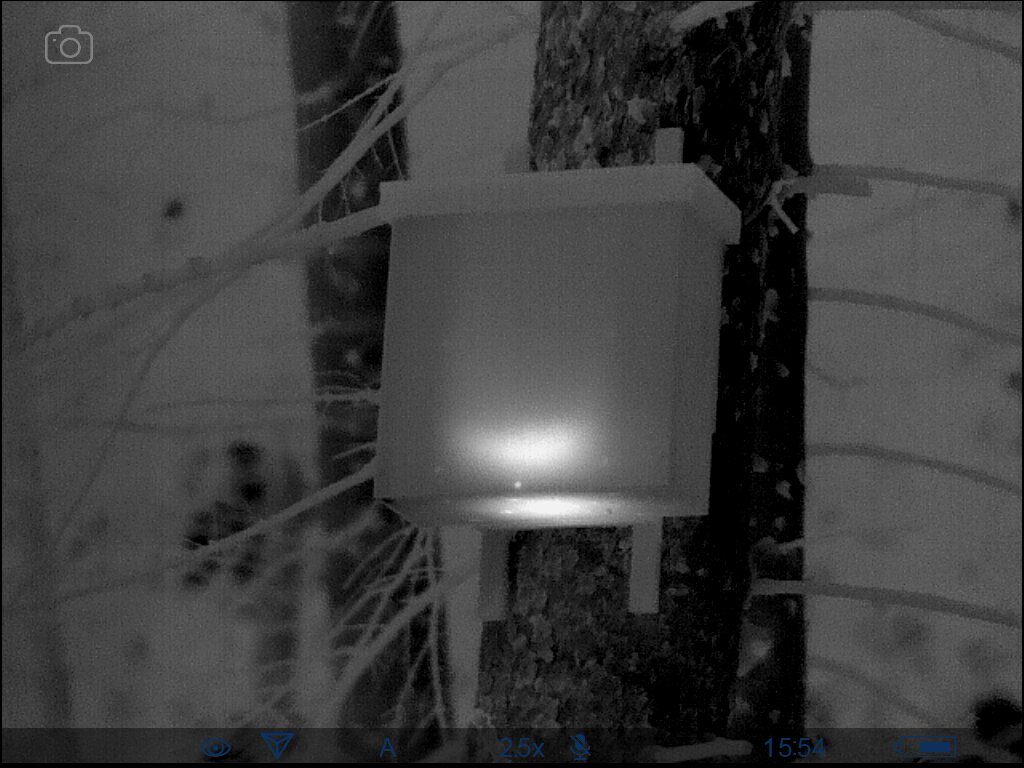 A black and white image of a wooden box in trees with a light in the box