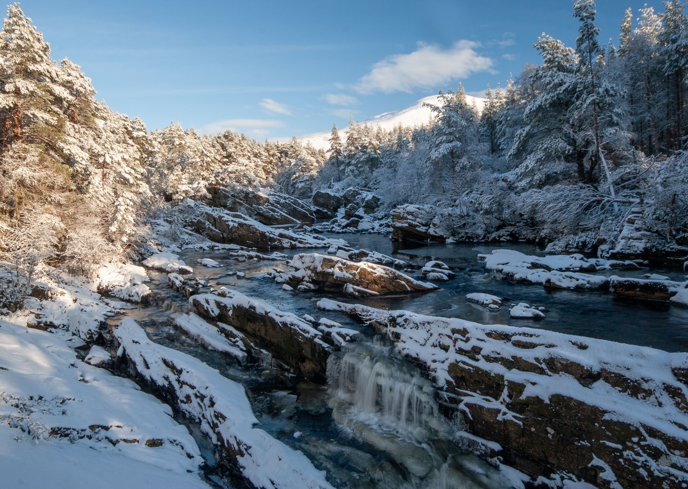 Snow covered rocks in a river through woodland at Little Garve