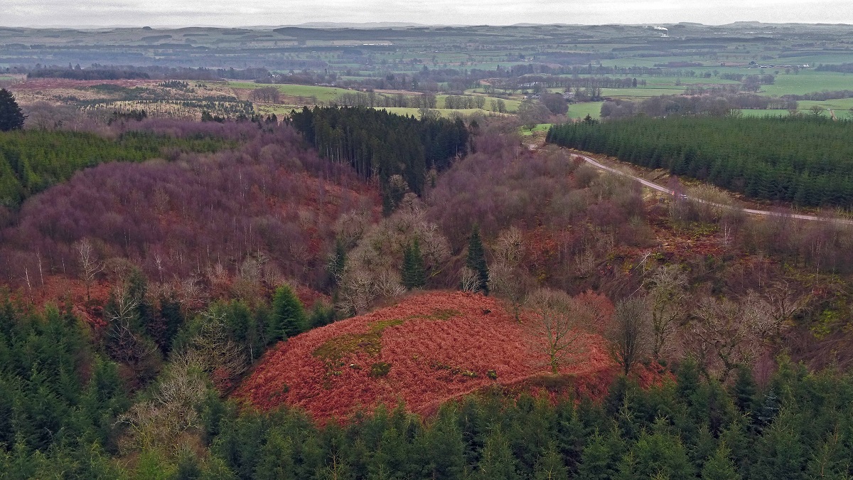 An aerial view over the fort facing south east towards Lochmaben 