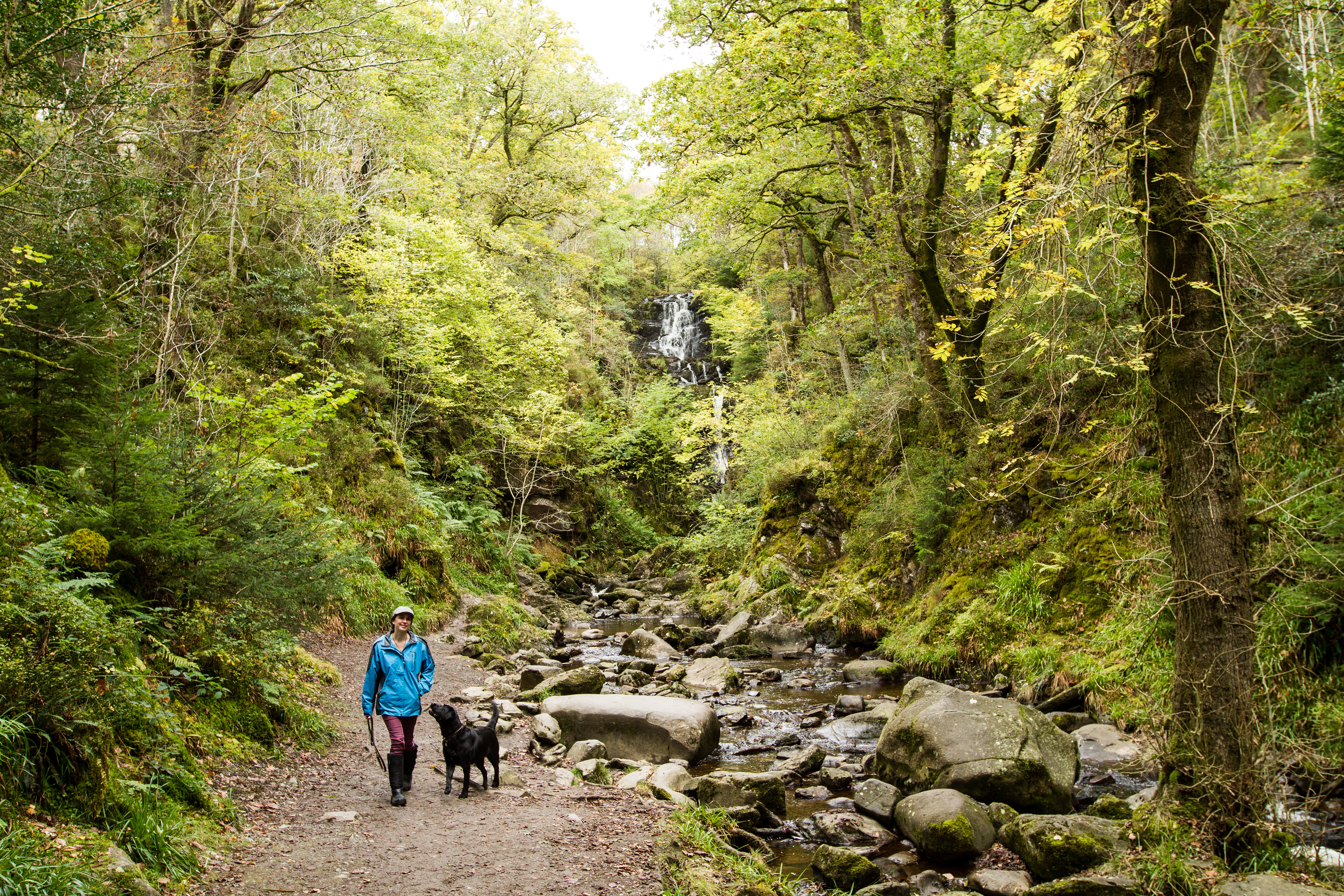 Woman with dog on the waterfall trail at The Lodge, Aberfoyle