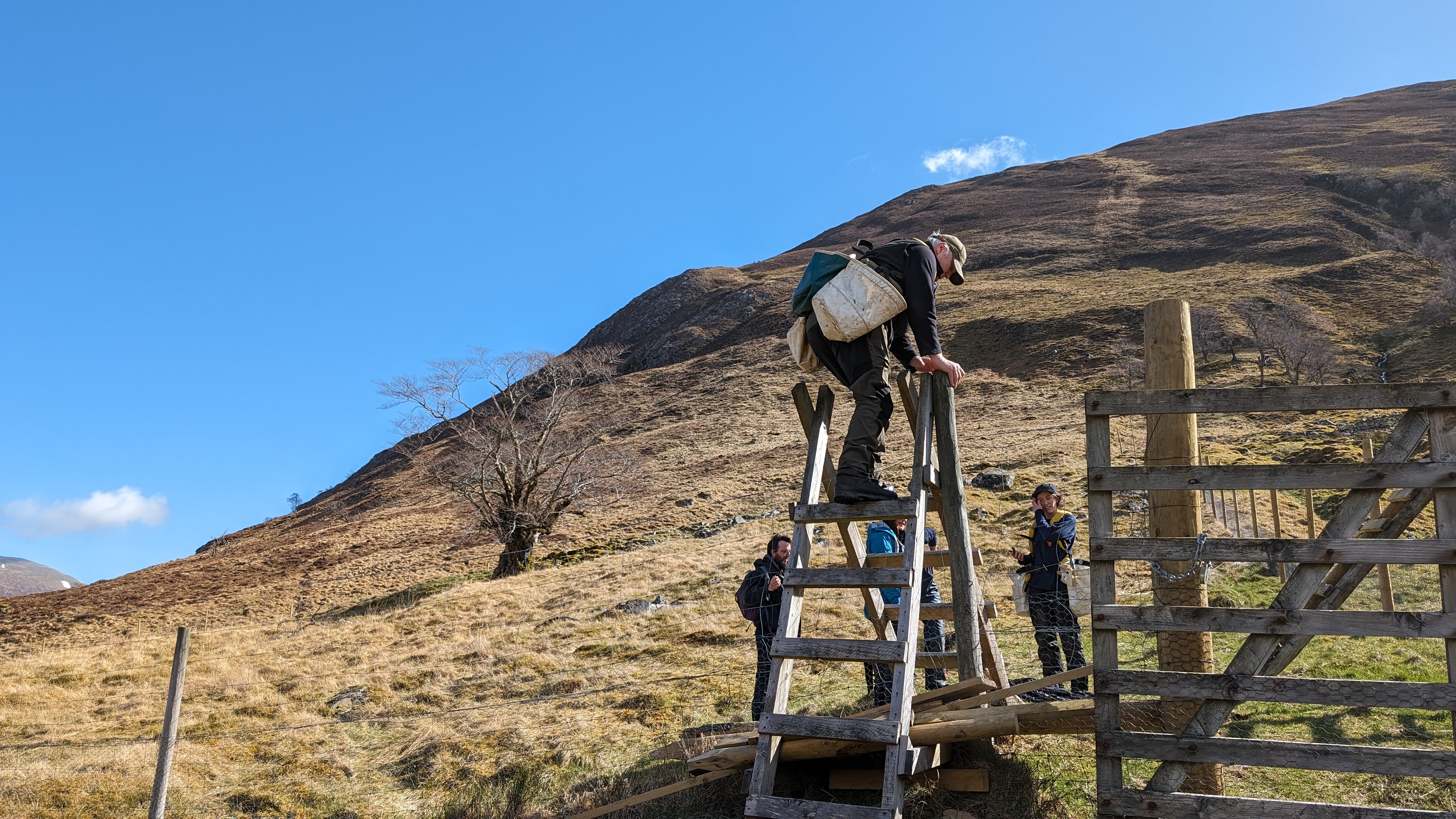 The tree planting team climbing a stile over the deer fence.