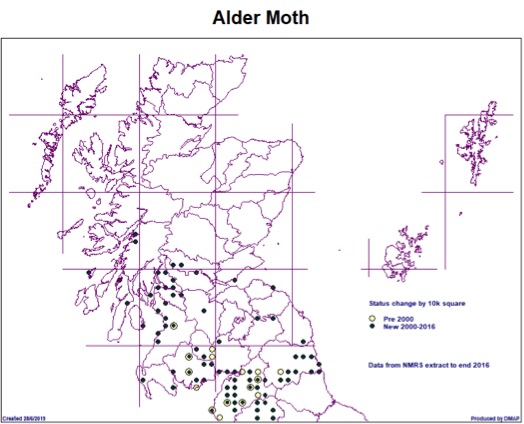 Map of Alder Moth sightings in Scotland