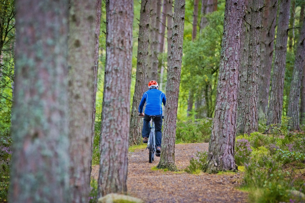 A man in a blue jacket cycling through a pine forest 