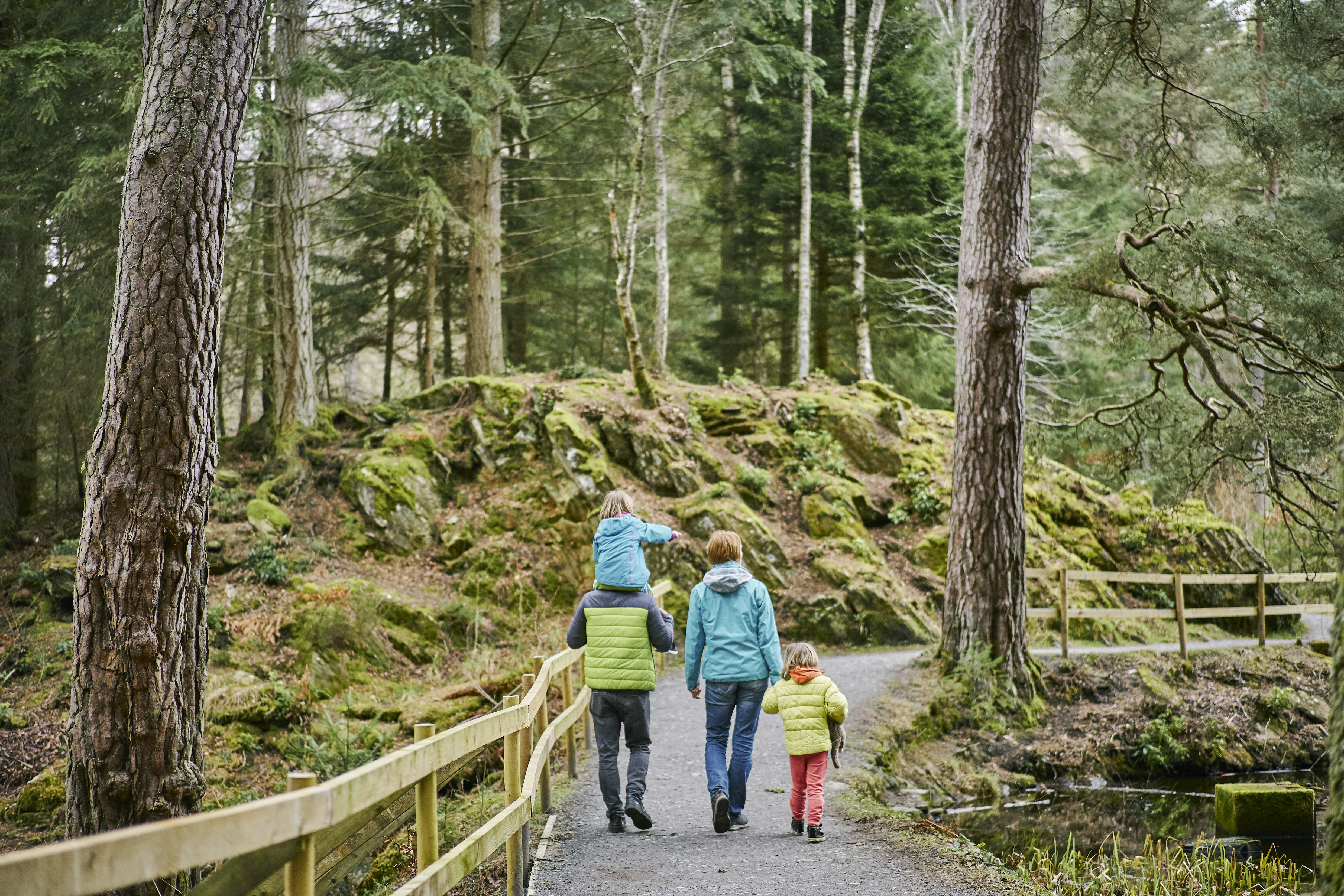 A family of four walk through Faskally forest