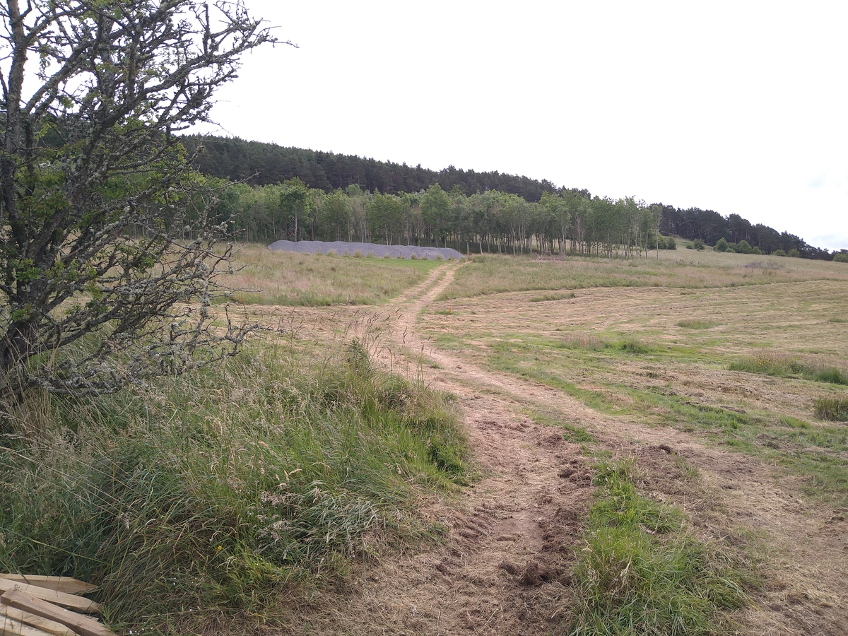 a track across a field