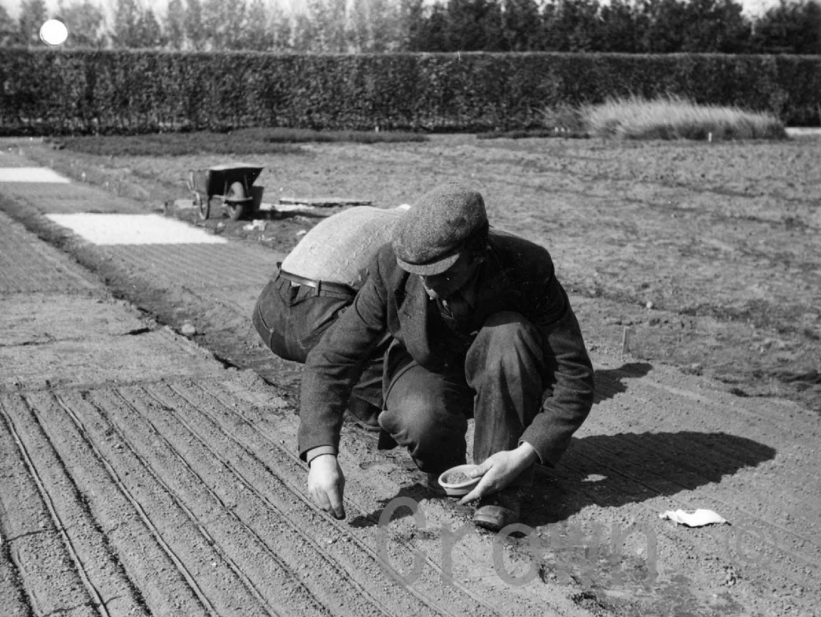 Black & white image of a person kneeling over neatly plowed earth planting seeds
