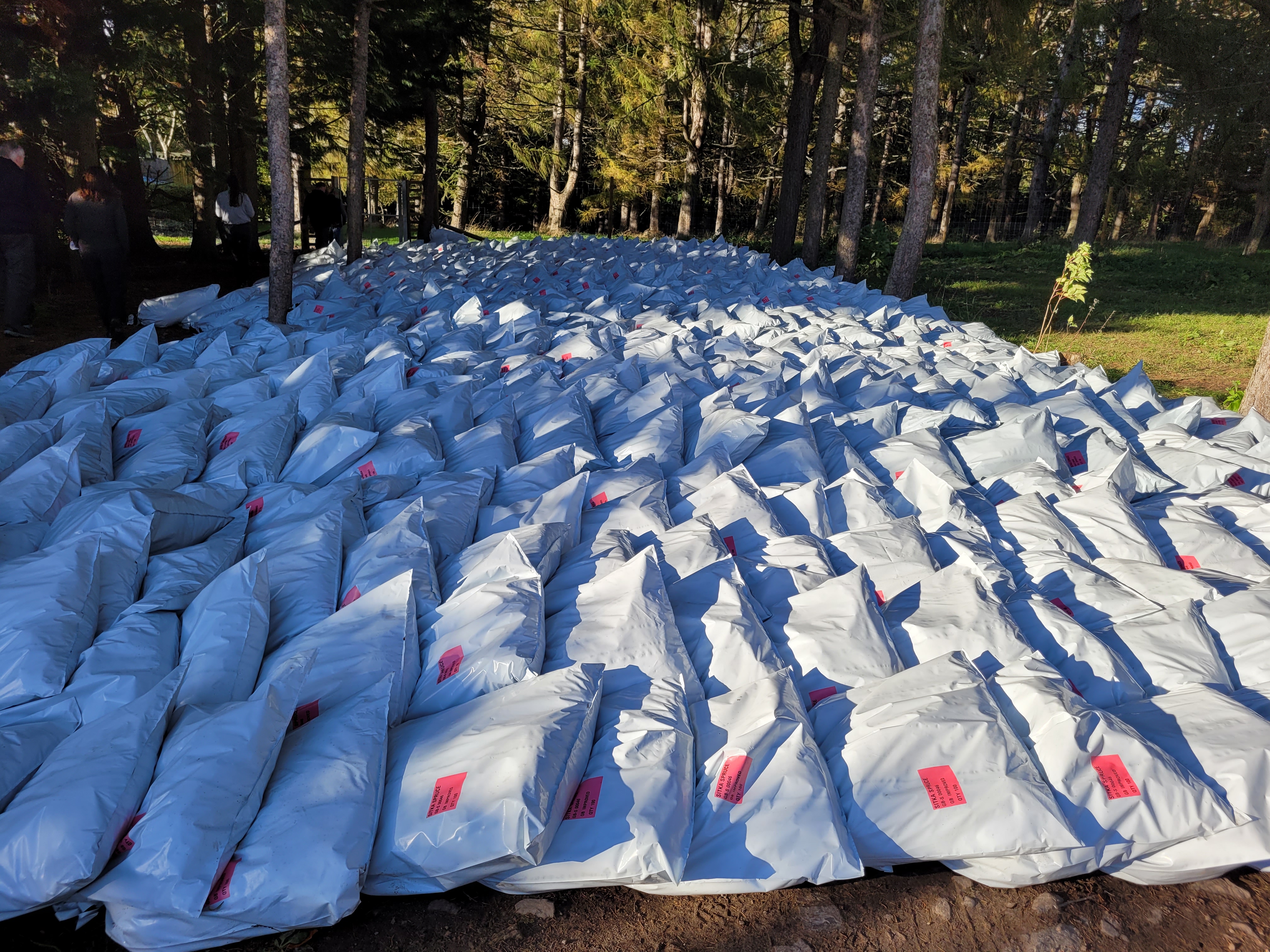 Lots of large white sacks placed on the ground.