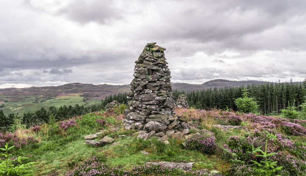 A rock cairn on a hillside with heather and trees