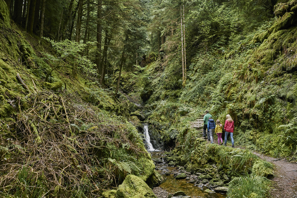 A couple walking through a moss covered gorge next to a waterfall