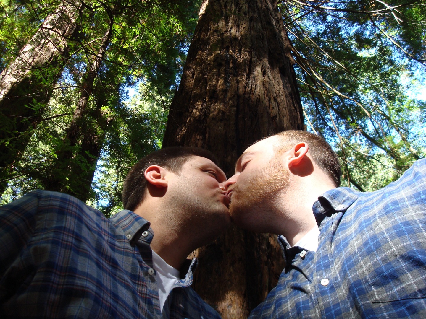 Two men kissing under a large tree within a forest