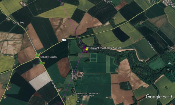 Satellite view of Ulceby Cross with osprey flightpath marked