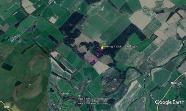 Satellite view of Minto, Scottish Borders, with osprey flightpath marked