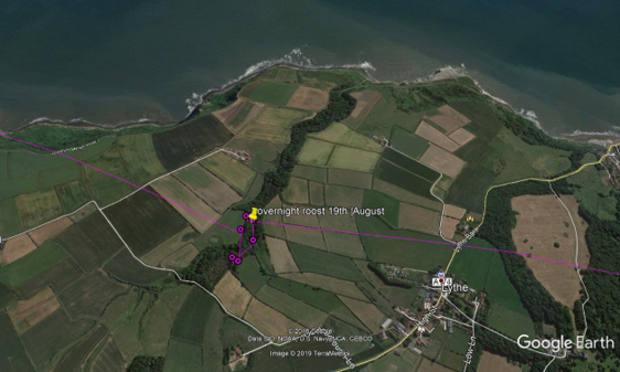Satellite view of Lythe with osprey flightpath marked