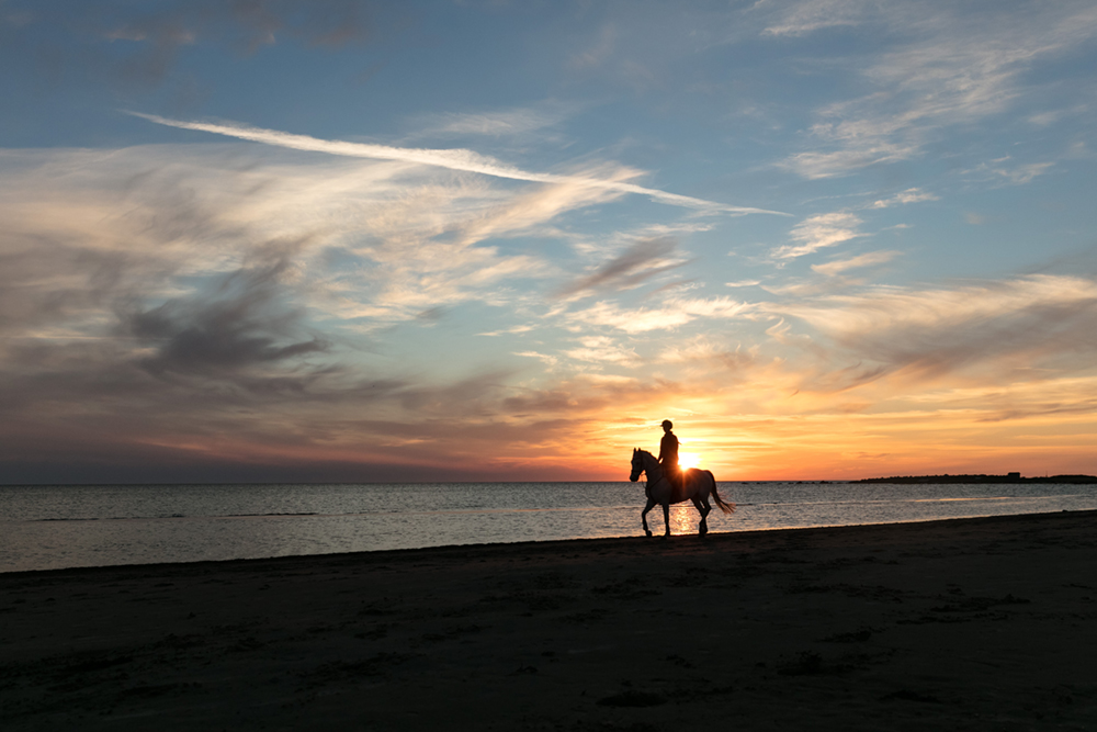 A lone horseback rider on the beach at sunset